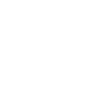 Global Software Services logo