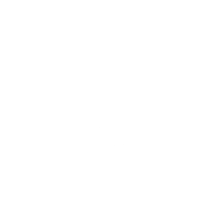 global-software-services